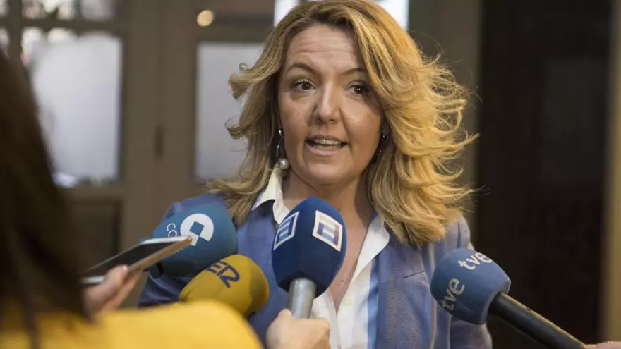 Mallada achaca a la "nefasta gestión" del PSOE noticias como la de Arcelor