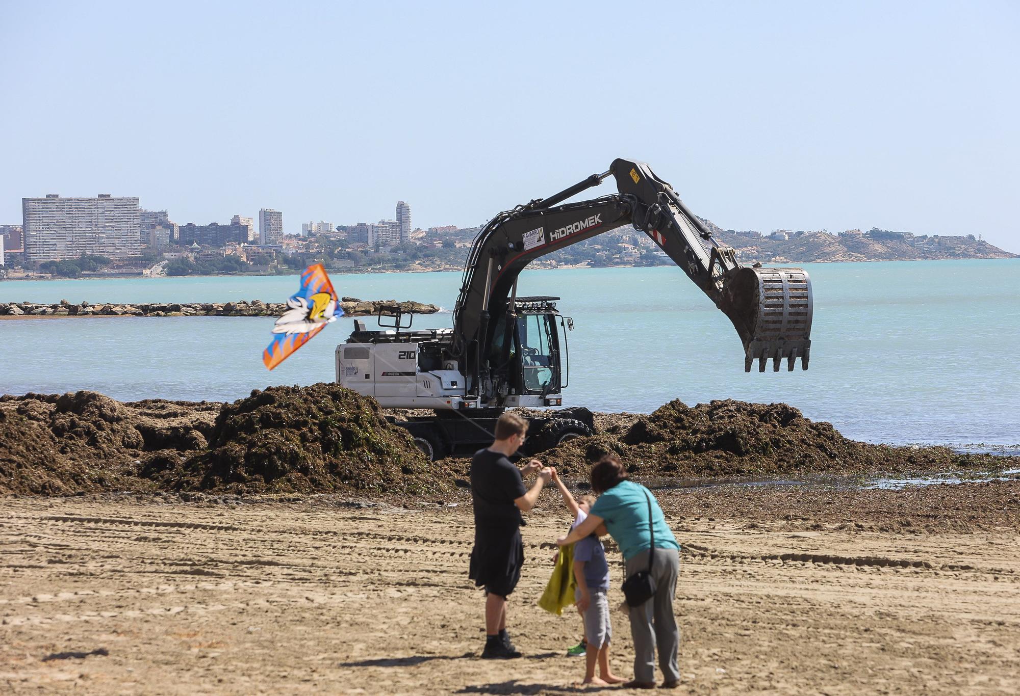 Playas llenas en Alicante mientras y limpieza de restos del temporal