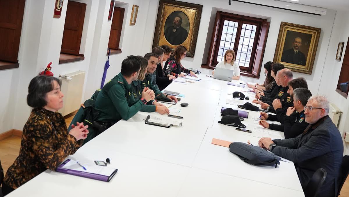 Asistentes a la reunión de la Comisión de Violencia de Género.
