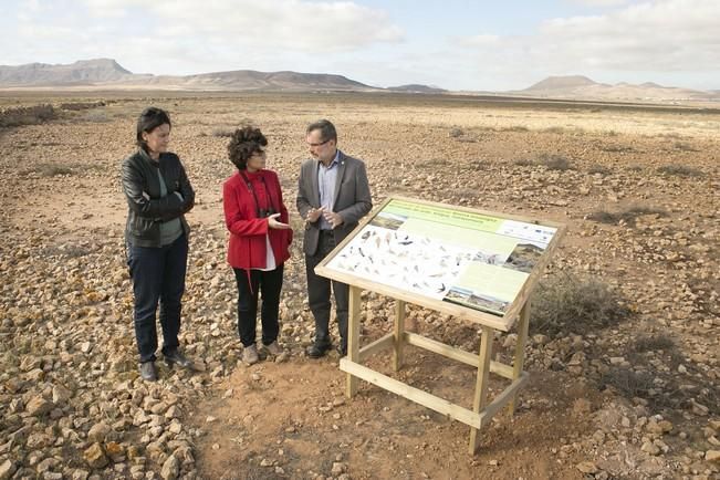 FUERTEVENTURA - El presidente del Cabildo de Fuerteventura, Marcial Morales, y la consejera de Medio Ambiente, Natalia Évora, presentan los paneles interpretativos de la Reserva Ornitológica de la Finca El Jarde, en Antigua - 29-03-16