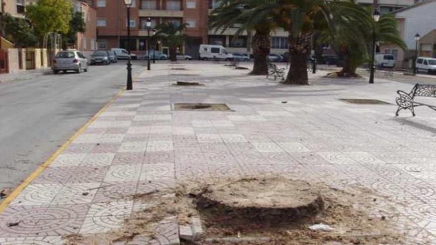 Palmeras cortadas en la plaza Cortes Valencianas, ayer.