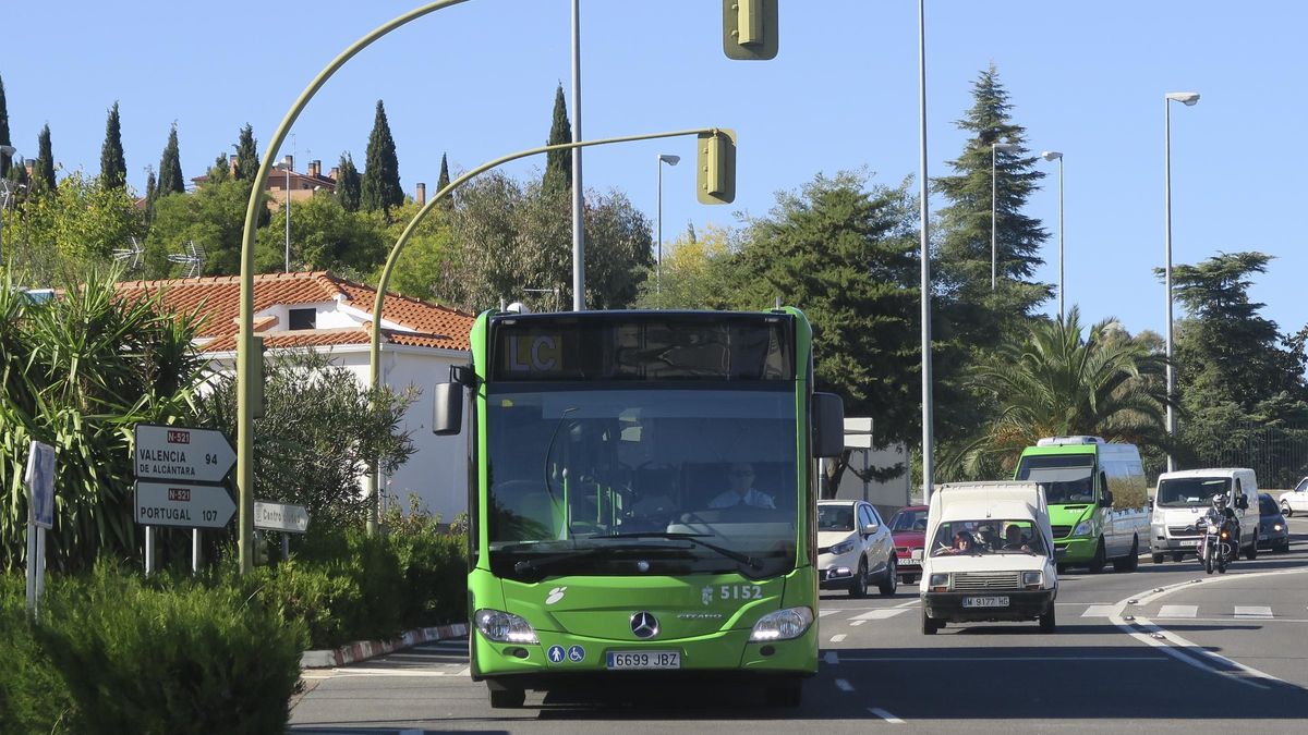 Un autobús del servicio municipal en la avenida de la Universidad.