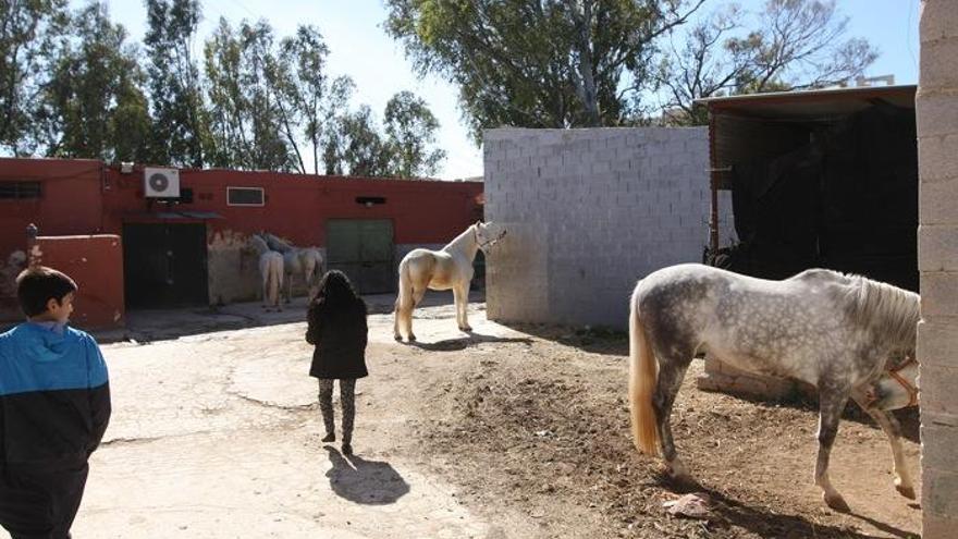 Caballerizas en Teatinos.