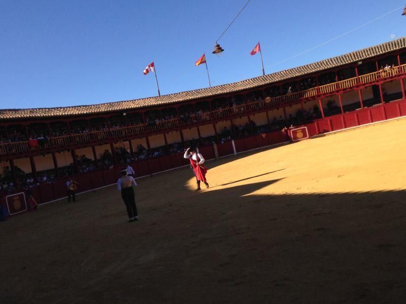 Fiestas en Toro | Becerrada de las peñas