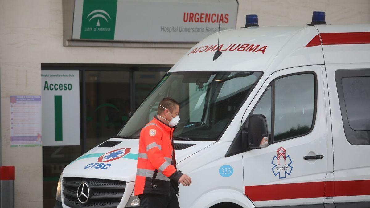 Los servicios sanitarios han acudido al lugar del accidente.