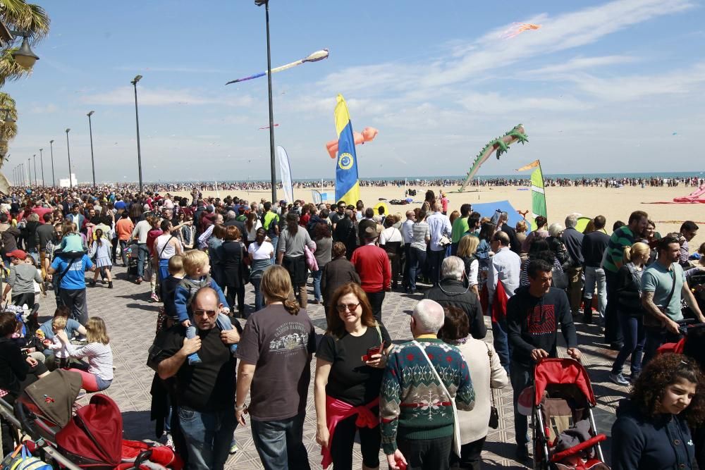 Festival del Viento 2016 en la Malva-rosa