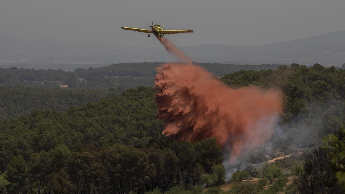 El cambio climático se ha convertido en clave para que se incremente el riesgo de que se produzcan incendios forestales en la C. Valenciana, como el de Venta del Moro.