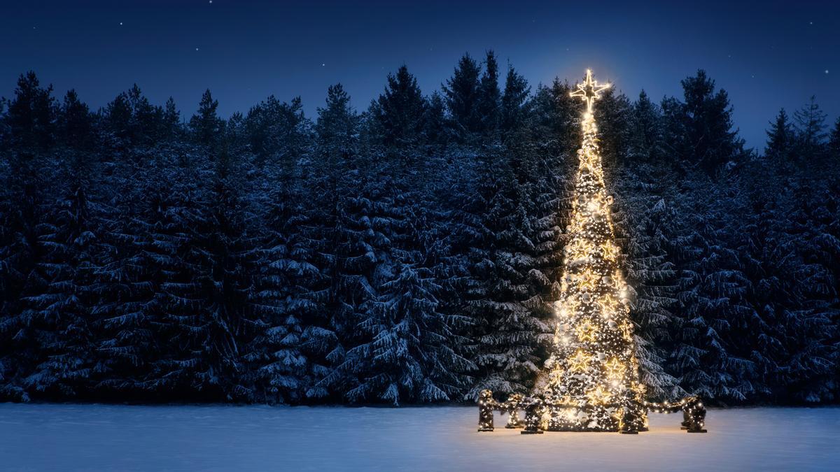 Encuentra el árbol de Navidad perfecto en este pueblo de Girona