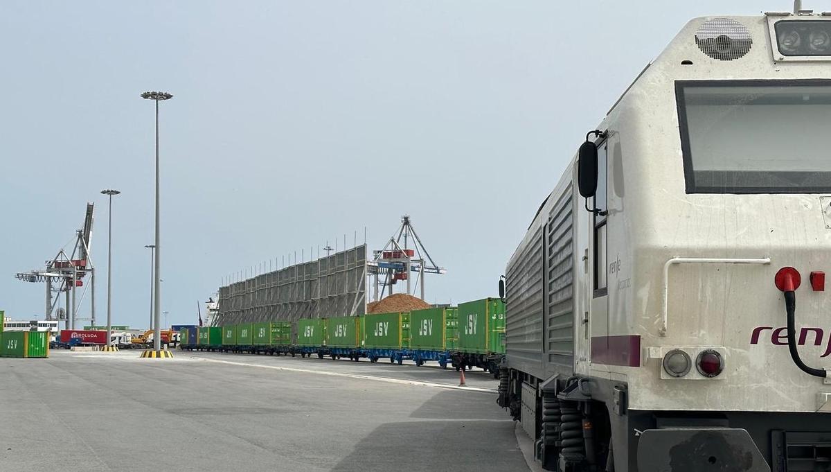 Un tren caargado de contenedores en el recinto portuario.