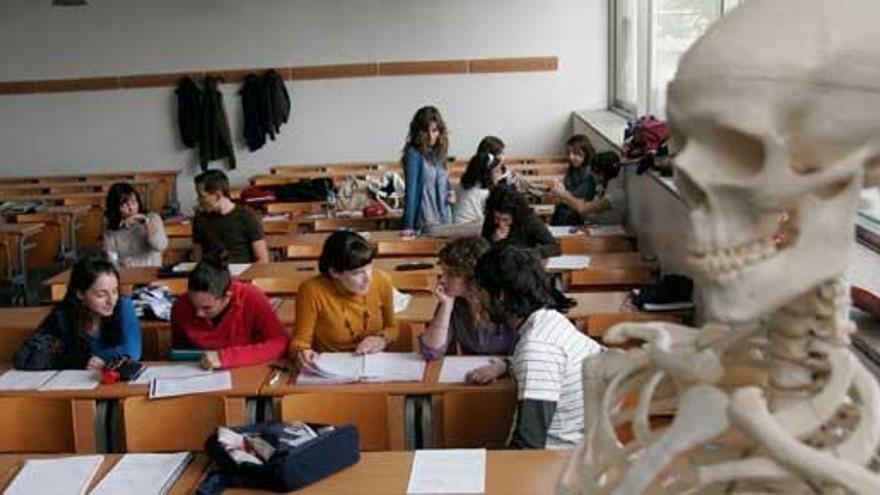 Alumnos de Fisioterapia en clase. // Eduardo Vicente