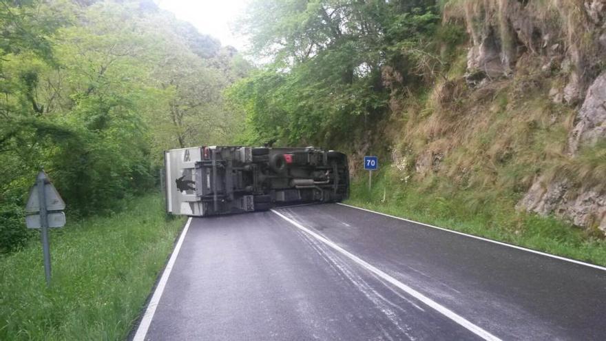 El camión, volcado en la carretera
