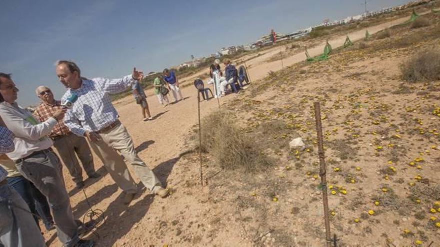 Medio Ambiente protege una parte de Cala Mosca y frena la construcción