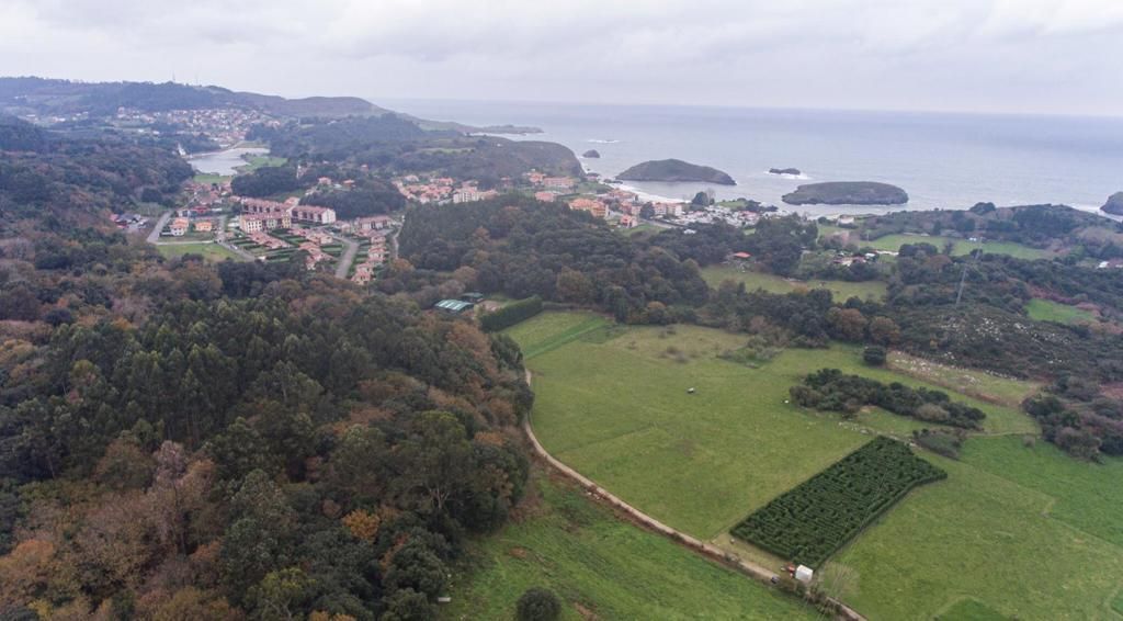 Un laberinto vegetal en Llanes aspira a ser el mayor de España