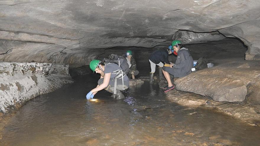 Hallan grandes cantidades de microplásticos en una cueva cerrada al público desde hace 30 años