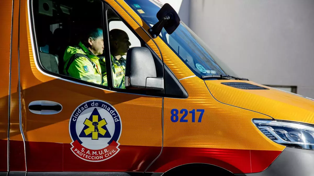 Encuentran el cadáver de un hombre devorado parcialmente por su perro en Arganzuela