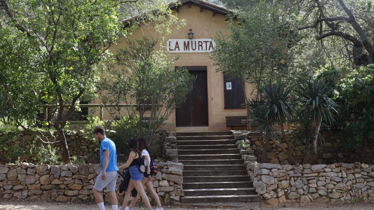 Finca forestal de la Murta.