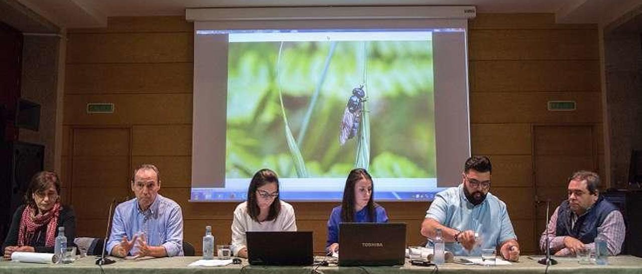 Jornada de medio ambiente en Verín sobre el río Támega. // FdV