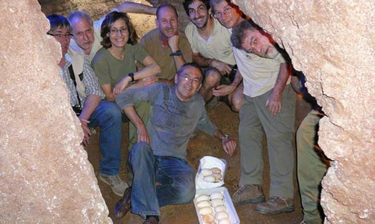 Els dragons de Komodo al Zoo de Barcelona han post 23 ous.