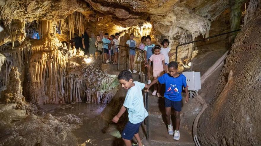 La asociación d’Amics del Poble Sahrauí: «Los niños saharauis se adaptan bien a los cambios culturales»