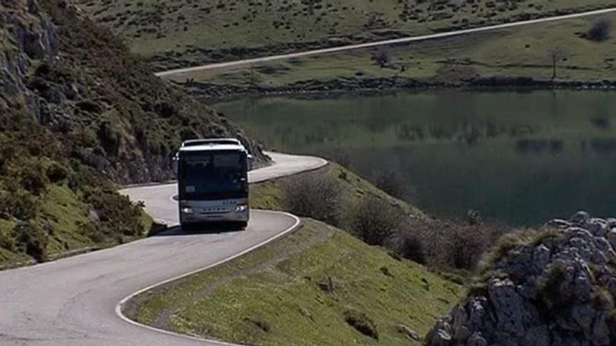 Más de 217.000 personas utilizaron el plan especial de transporte a los lagos de Covadonga