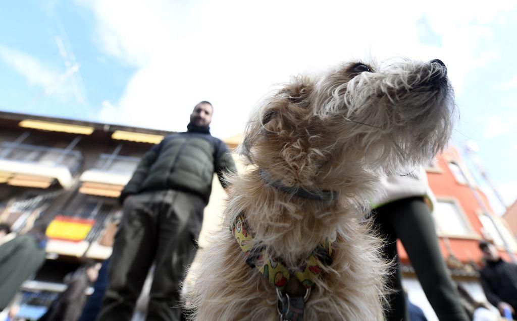 Así ha sido la bendición de animales por San Antón en Murcia