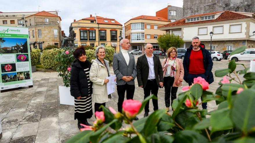 Vilanova fusiona la belleza de la camelia con Valle-Inclán