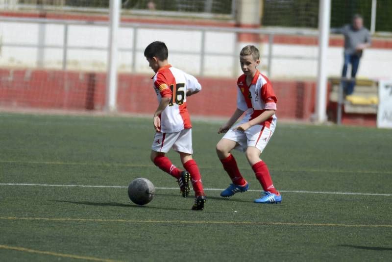 FÚTBOL: Hernán Cortés - San Gregorio (1ª Alevín grupo 2)