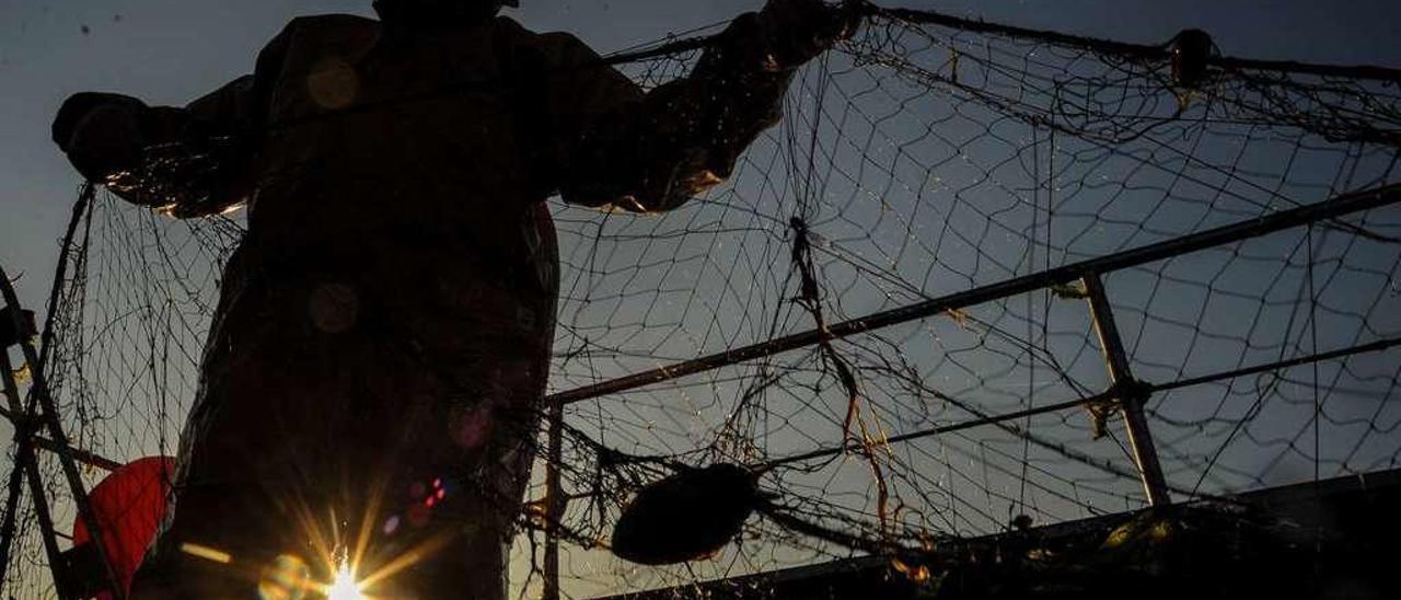 Pesca de chopo con trasmallos, en la ría de Arousa. // Iñaki Abella