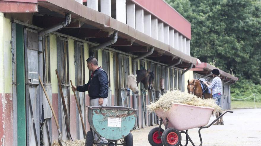 El Asturcón acogerá una prueba hípica por primera vez tras su cierre en 2016