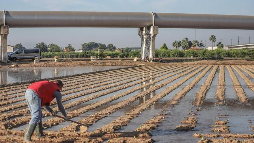 La Audiencia Nacional tumba un recurso de Castilla-La Mancha que exigía anular el trasvase en situaciones hidrológicas excepcionales