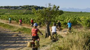 La Escola d’Enoturisme de Vilafranca del Penedès ha ganado el premio a las buenas prácticas en la investigación en el campo de la formación profesional.