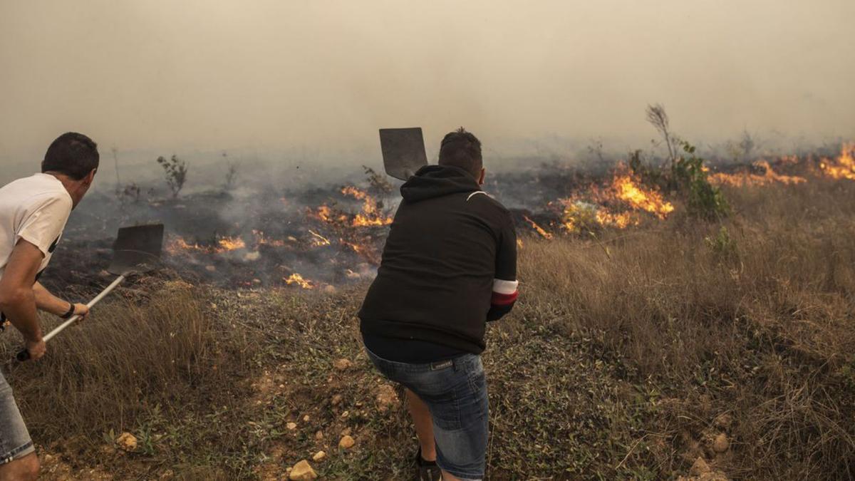 El fuego toma el valle del Tera