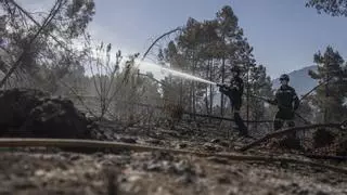 Crean un campaña de recaudación de fondos para ayudar a los afectados por el incendio del Alto Mijares