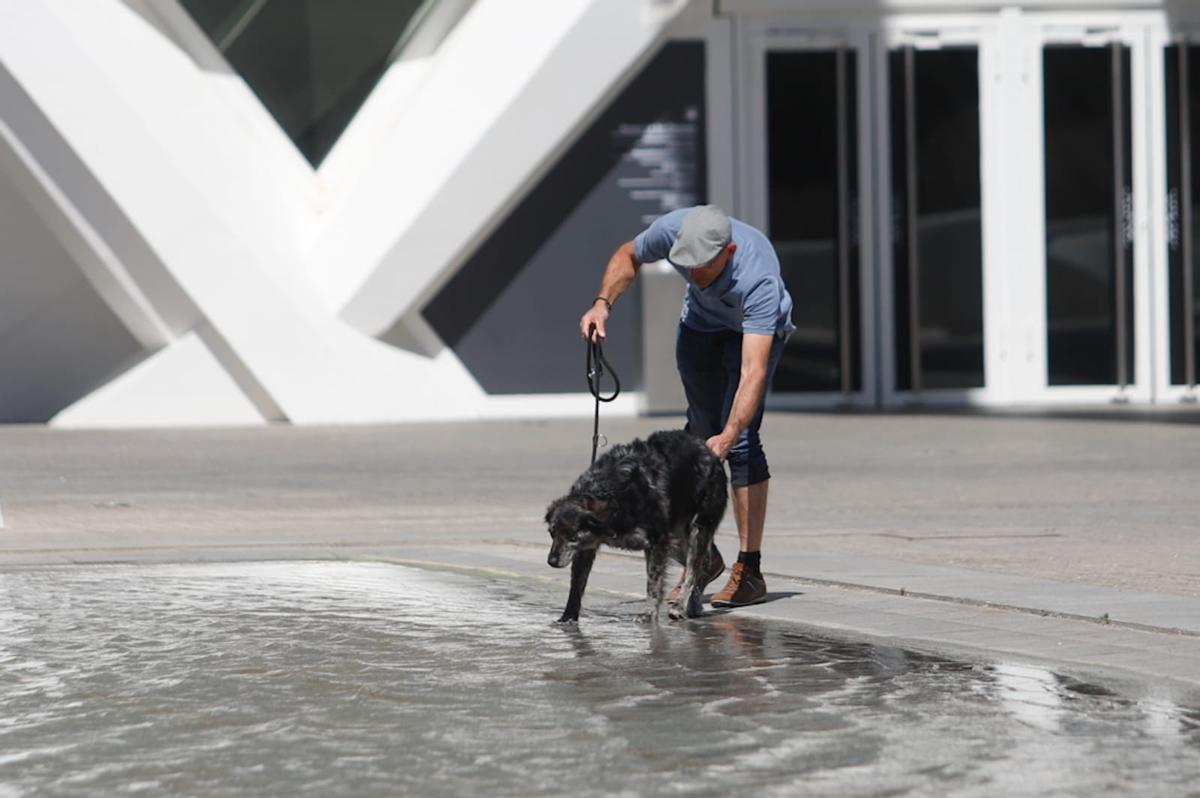 Calor estival en València en pleno mes de abril