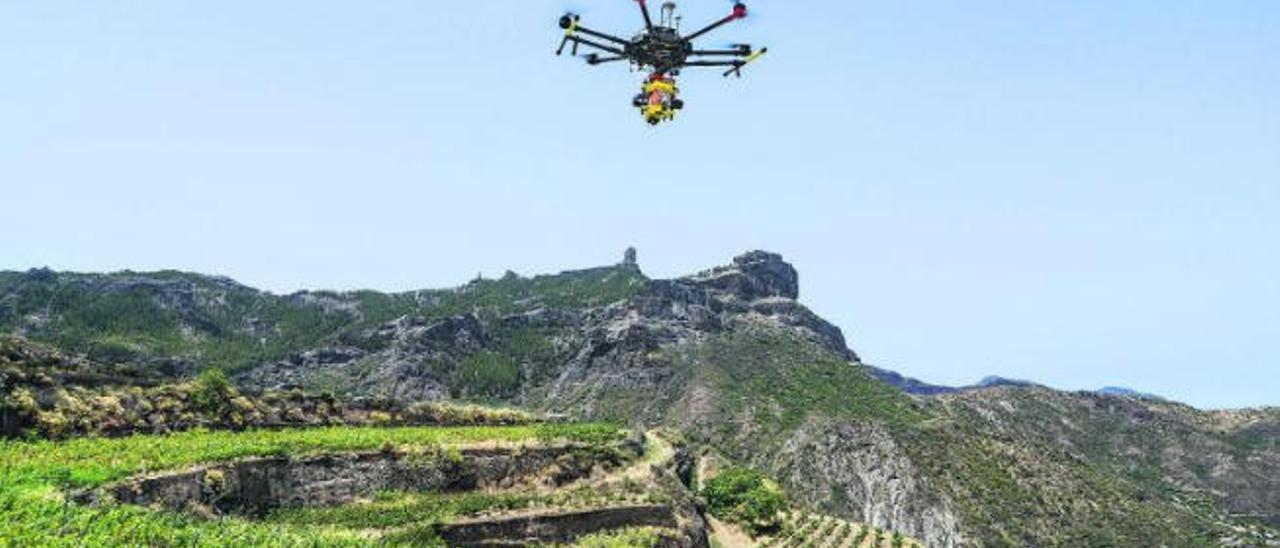 Investigadores de la ULPGC prueban la tecnología con un dron que sobrevuela el terreno, situado frente al Roque Nublo, en Cuevas Caídas (Tejeda).