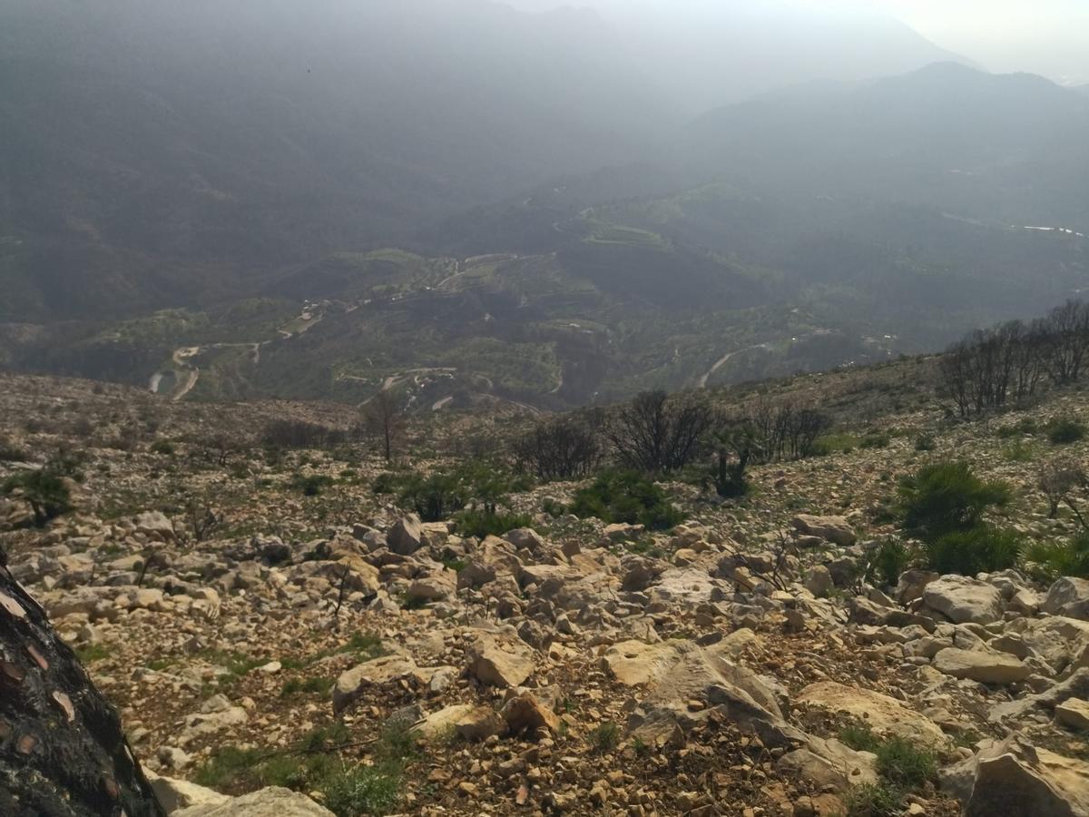 Desolación, erosión y bandadas de cuervos en las laderas del Coll de Rates arrasadas hace 8 meses por el fuego (imágenes) Desolación, erosión y bandadas de cuervos en las laderas del Coll de Rates arrasadas hace 8 meses por el fuego (imágenes)