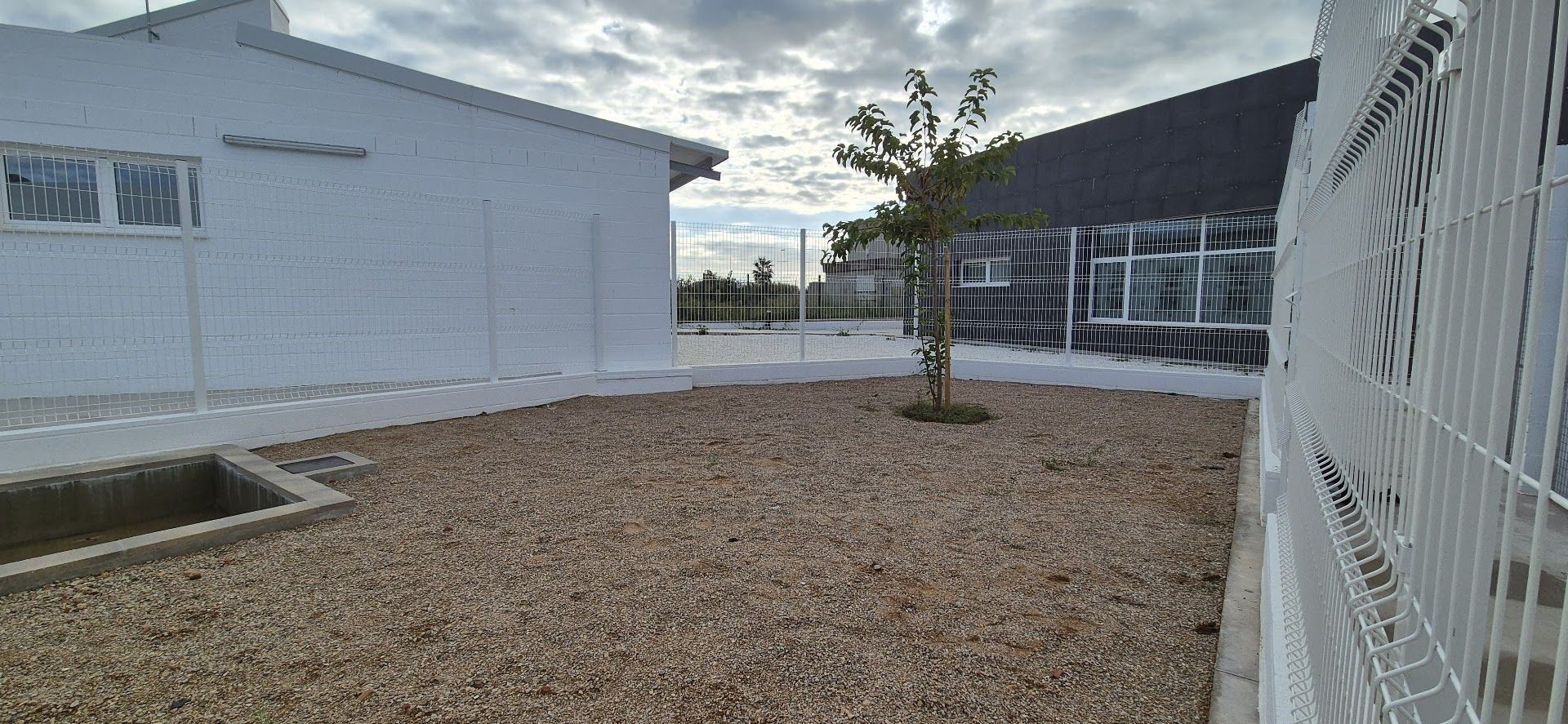 Inauguración del Centro de Acogida de Animales de la Safor en Tavernes de la Valldigna