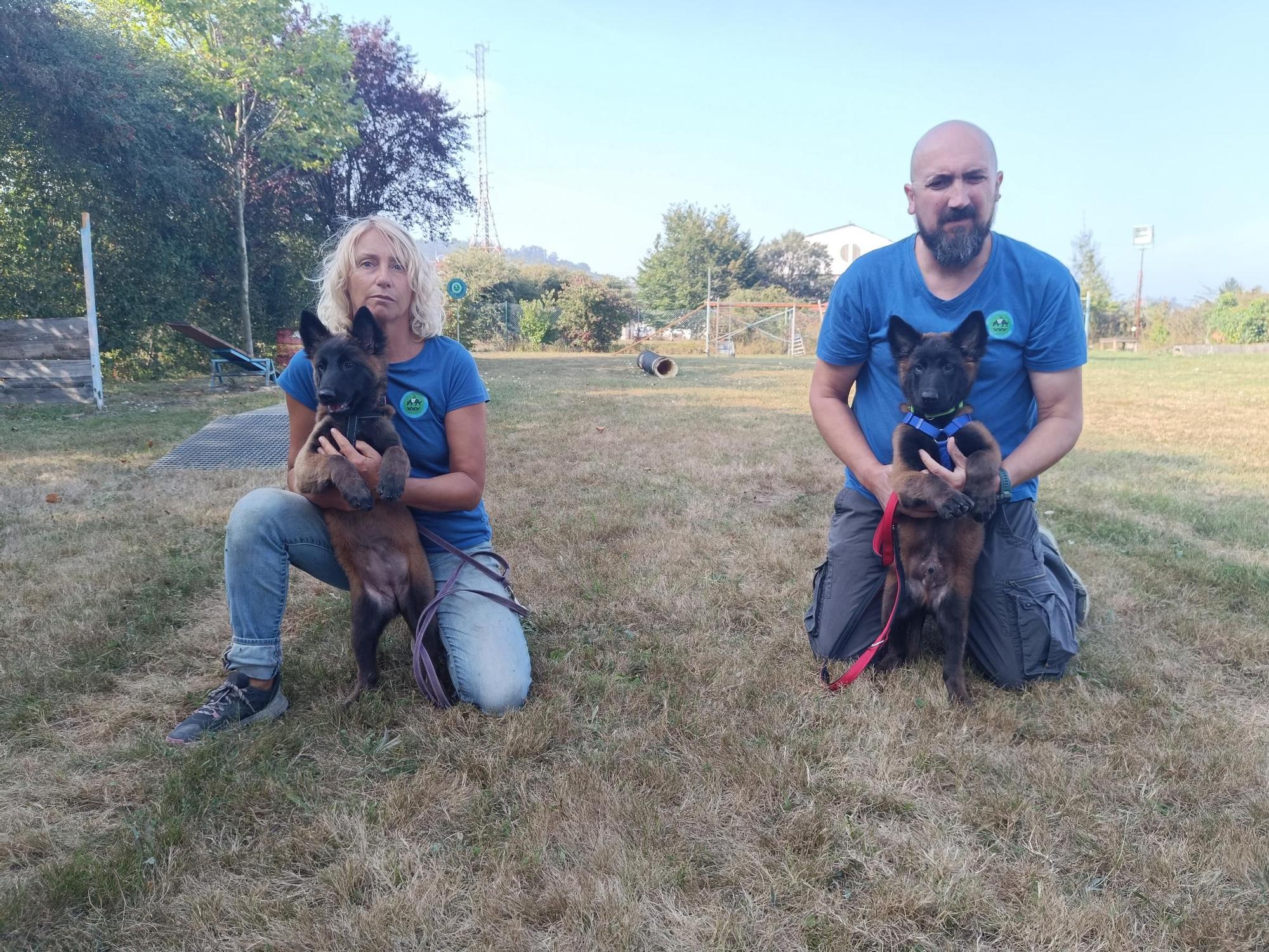 Así entrenan los nuevos integrantes de la Unidad Canina de Rescate del Principado