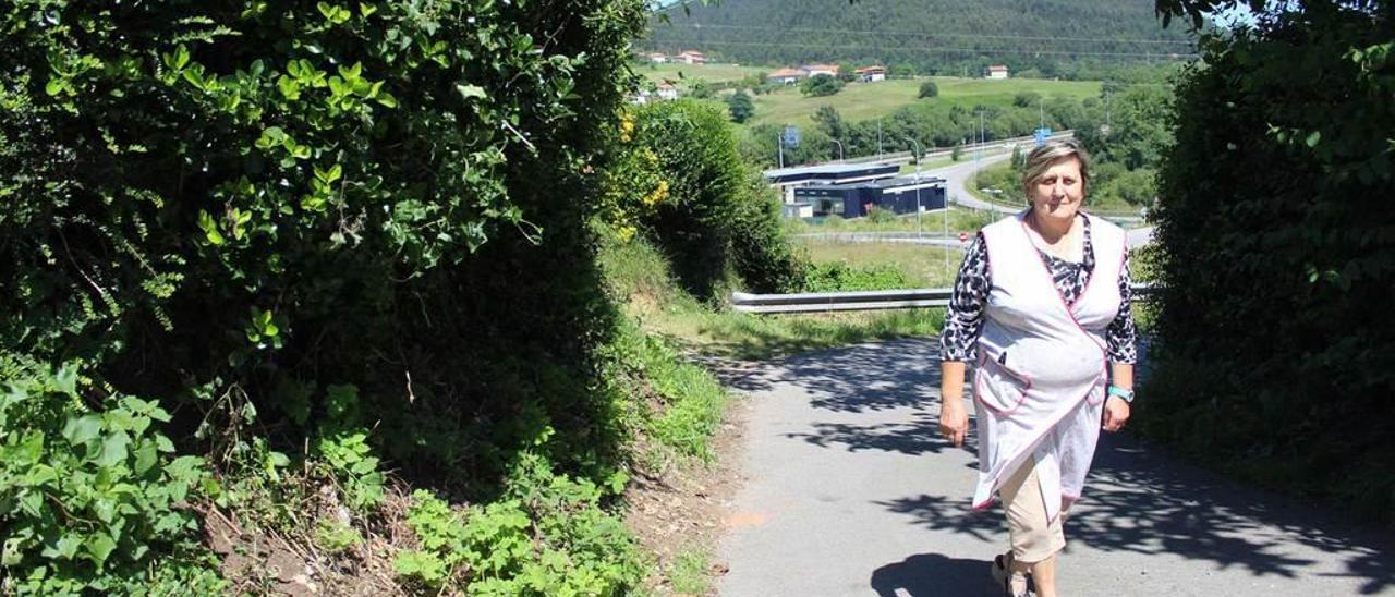 María Oliva Cuervo camina por el barrio de Cimavilla, en El Montico, con la autopista &quot;Y&quot; al fondo.