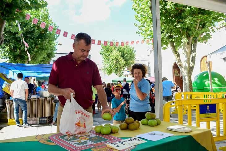 Fiesta de la manzana de Valleseco