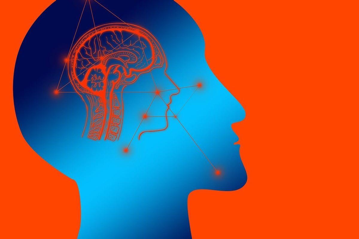 Los colores ideológicos están marcados en el cerebro.