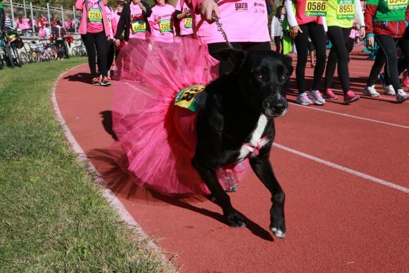 Carrera contra el Cáncer en Zamora