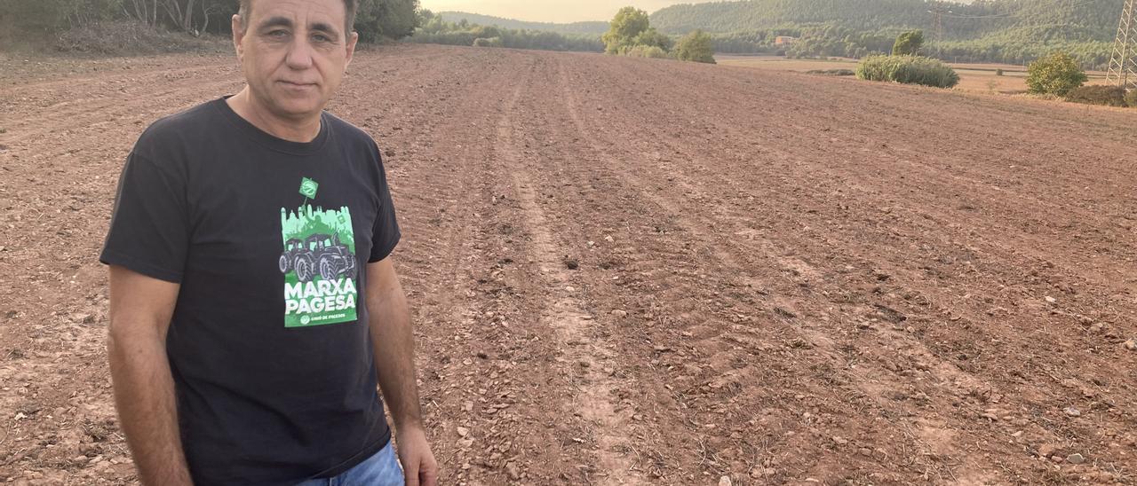 Josep Guitart en un camp de Sallent sembrat de colza, que no ha cescut