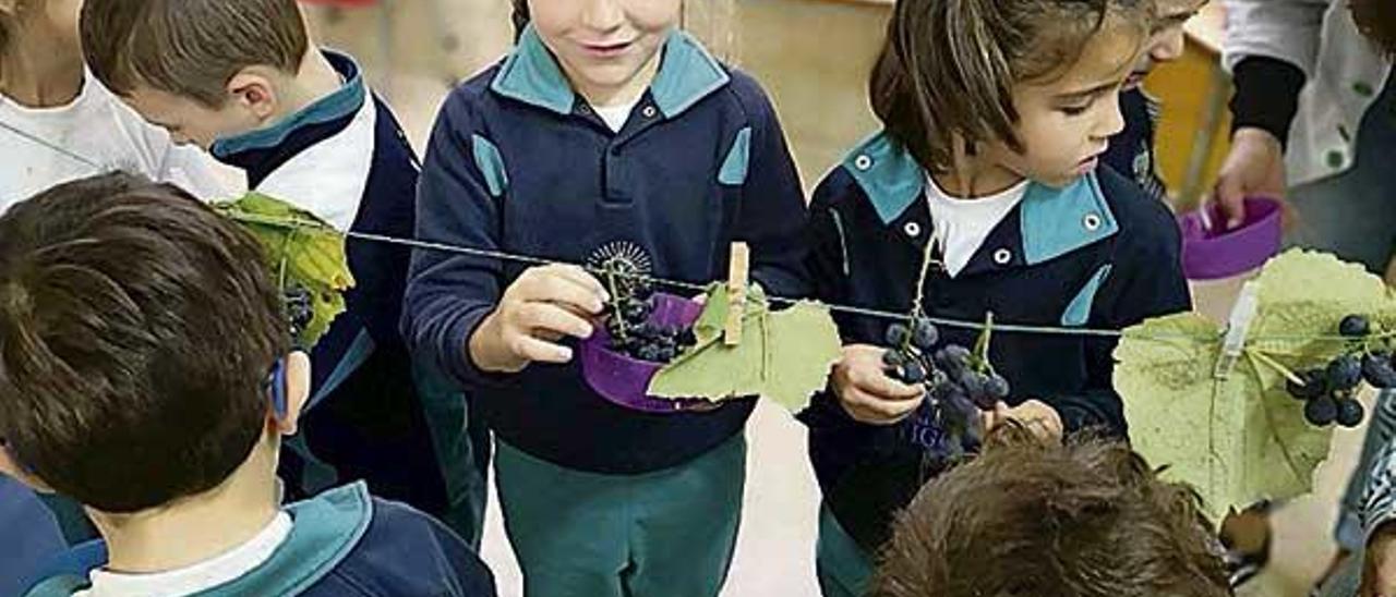 Os escolares do Colegio Vigo  durante as súas experiencias outonales. FdV