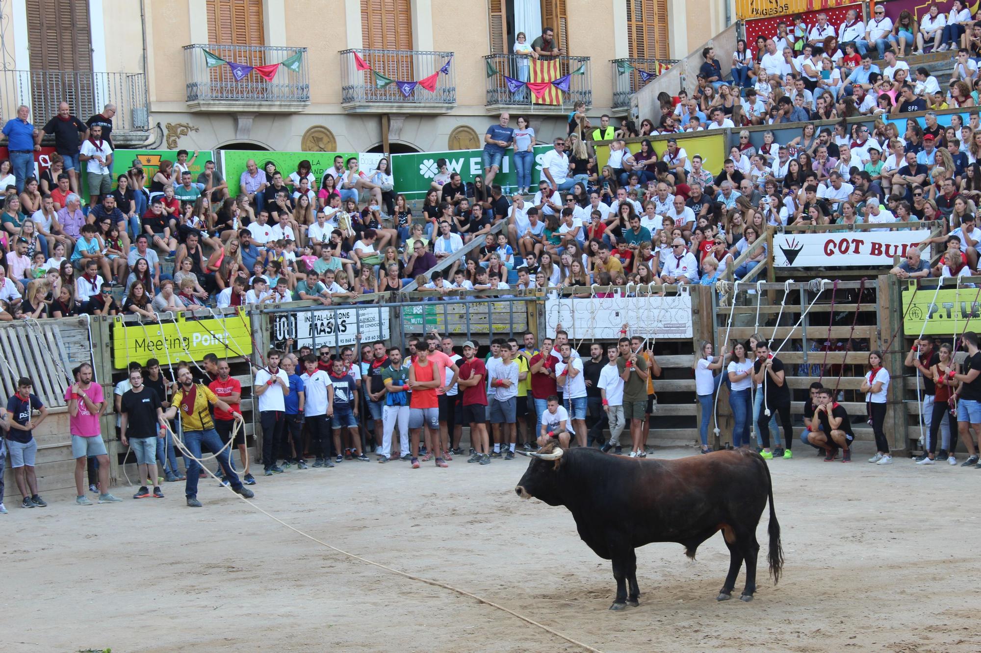 Correu bou