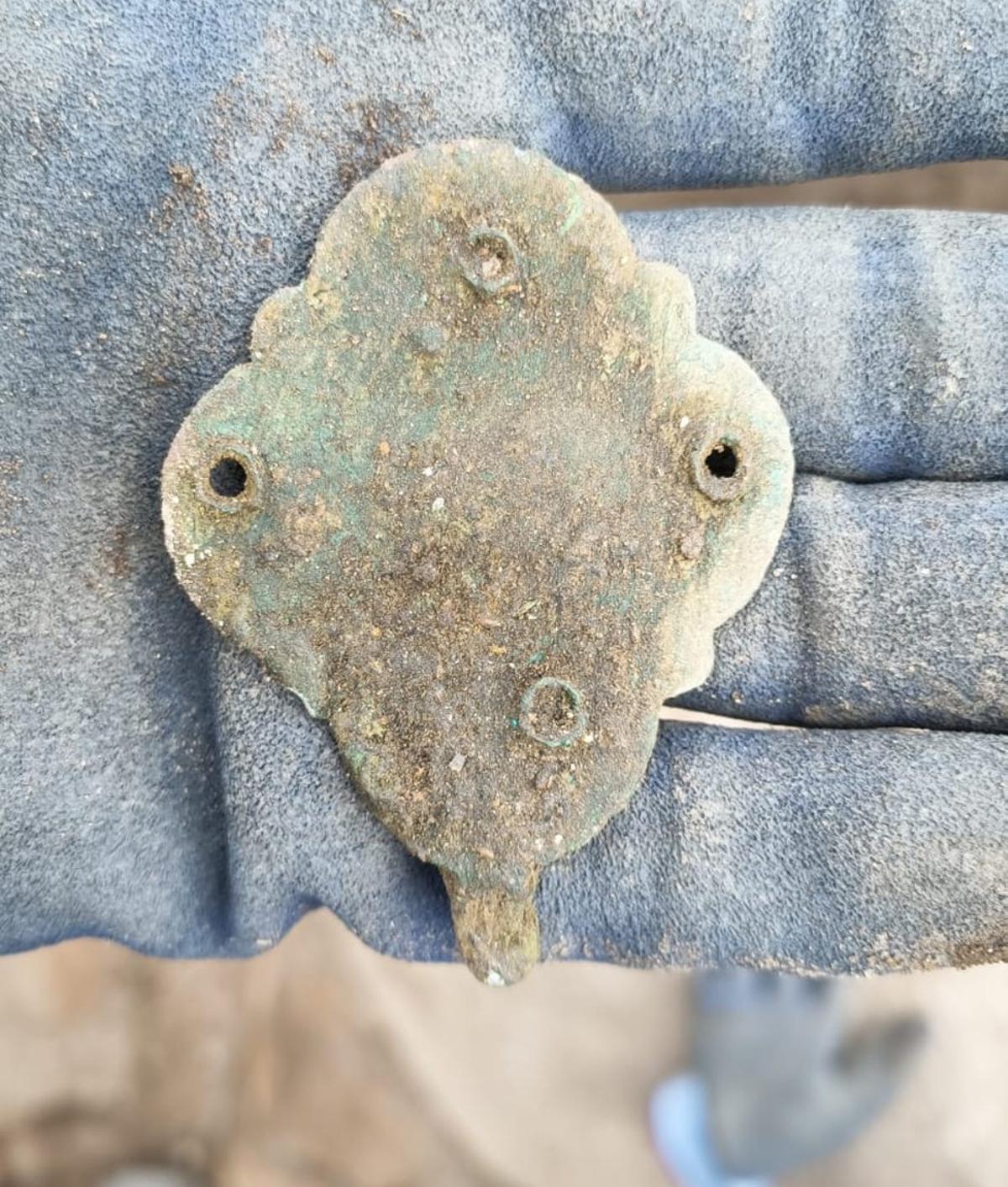 Árbore Arqueoloxía |