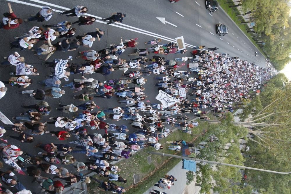 Manifestación contra el muro de Murcia en Madrid