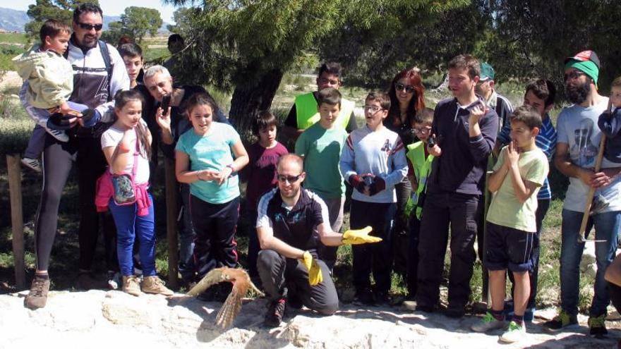 Al finalizar la plantación se realizará un suelta de fauna silvestre