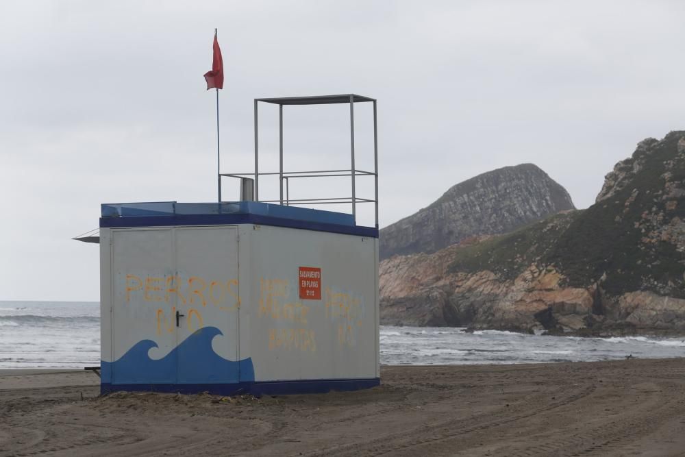 Los perros pueden acceder al playón de Bayas