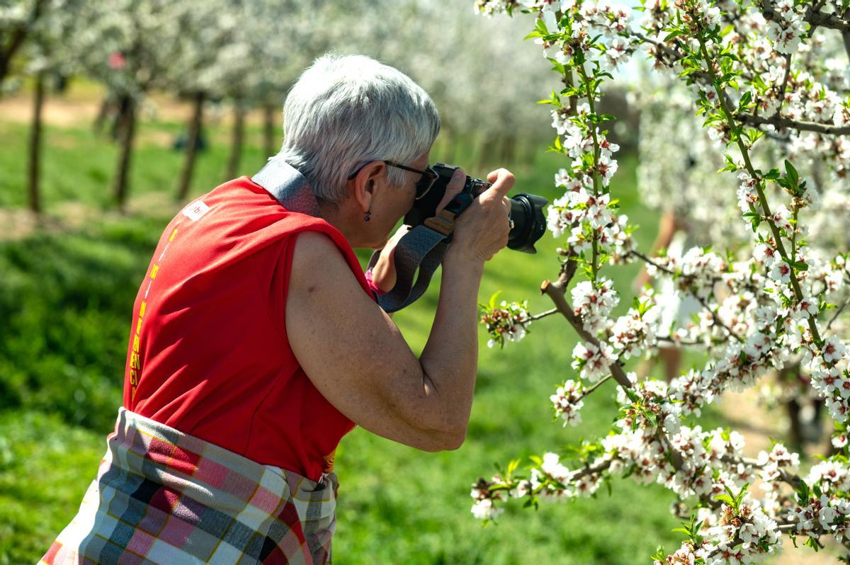 El espectáculo de la floración de los frutales en el Baix Segria, Lleida